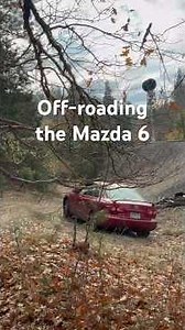 what should I do with it next??