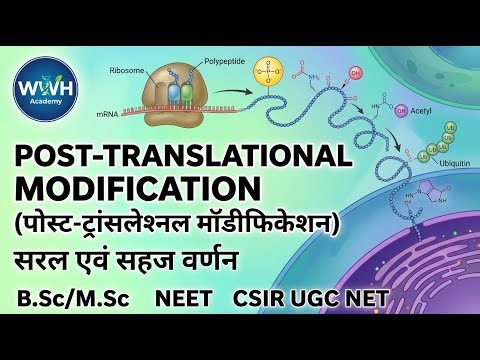 Post Translational Modifications (PTMs) | Types, Mechanism & Significance