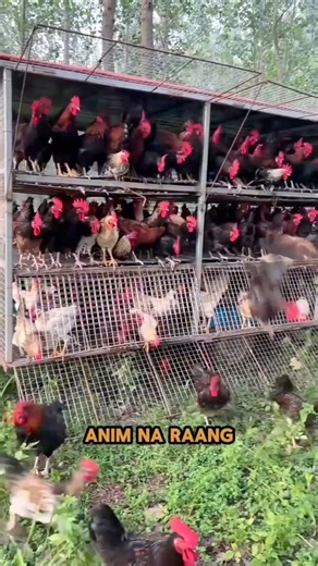 #recap #engineering #bagger #biology #science #shorts #animation #deepest #science #technology #historyfactso #ai #artificialintelligence #fypシ゚viralシ | Mr. Brain