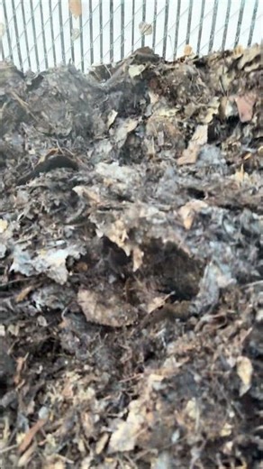 The hot compost be steaming ￼