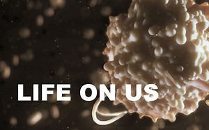 【科普】身体上的微生物Who lives on our bodies A microscopic safari 【DW Documentary】【搬运】