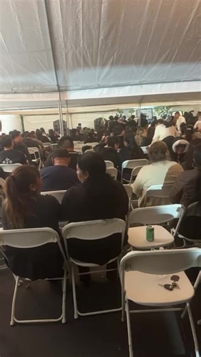 Maximize Earnings with LIVE Incentive Program