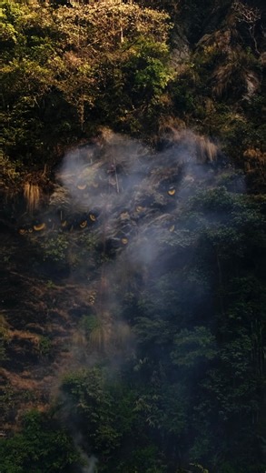 Using ancient techniques passed down through generations, Nepal’s honey hunters work as a team to harvest wild honey from cliff nests. #honeyhunterrum #honeyhunters #rum | Honey Hunter Rum