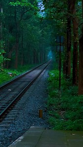 831K views · 4.6K reactions | Melattur Railway Station,Kerala NP :...