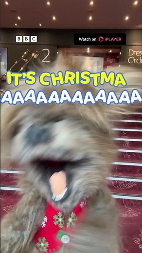 CHRISTMAS WITH DODGE! 🎄 | CBeebies #shorts