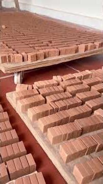 Quá trình làm ra được 1vien gạch mini đấy ạ😝#bonsaimini #chậucây #caycanh @bonsaiborao86 #gachmini