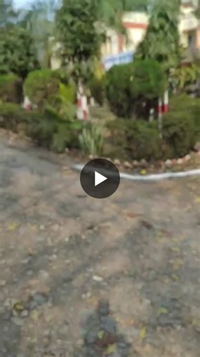 Successfully completed Diploma in Computer Science Engineering under BTEUP from Government Polytechnic Bijnor. The program provided strong knowledge in programming, database management, web… | Sumit Jaiswal