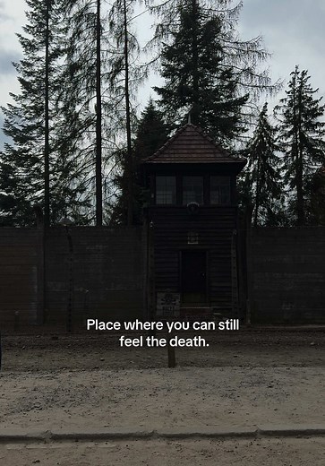 Auschwitz: A Place Where Death Still Lingers