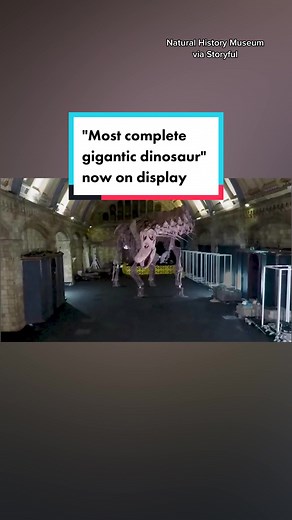 Patagonian Mayorum: The Most Complete Gigantic Dinosaur at London's Natural History Museum