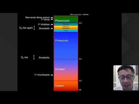 First Animals: How did they move?