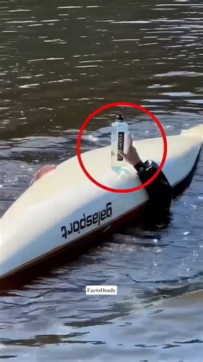 Training To Ride Canoes