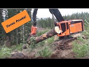 TimberPro TL765C cutting and handling large trees in Idaho