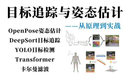 【目标追踪与姿态估计实战】迪哥半天就教会了我OpenPose+Deepsort+YOLO算法！原理详解+项目实战，究极通俗易懂！人工智能/深度学习/计算机视觉