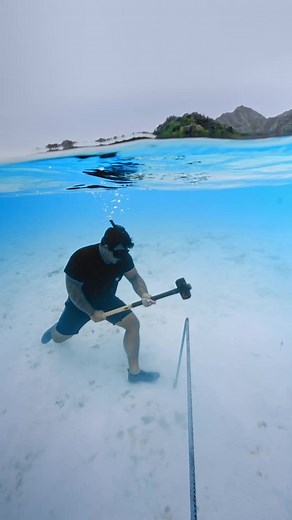 😱 Absolutely obsessed with this: You can adopt a real coral in 30 seconds ! Certificate now; real photo GPS as it grows. 💬 I just did two to help hit 1,000,000. 🖤 | Coral Gardeners