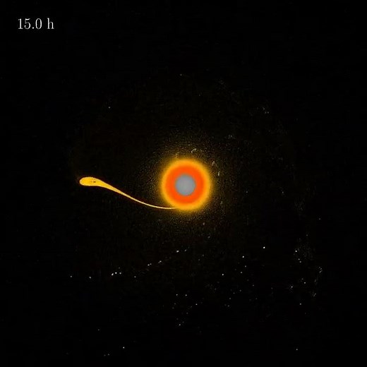 Supercomputer Simulation of the Moon's Origin (Strip-Orbit Cross Section)