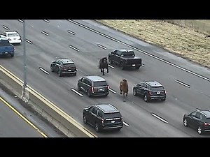 ODOT VIDEO: Cleveland police chase horses on I-90