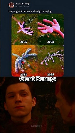 "Italy's Giant Bunny is Slowly Dying 😢 |Meme Edit"