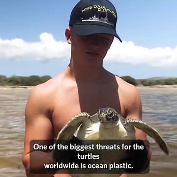 Saving the turtles... Sailors from HMS Dauntless cleared dangerous waste plastic from a turtle nesting site during the destroyer's Caribbean patrol. Read more: https://www.royalnavy.mod.uk/news-and-latest-activity/news/2023/august/09/230809-dauntless-saves-the-turtles | Royal Navy