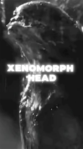 making an animatronic xenomorph head build log one#diy #animatronics #3dprinting #making