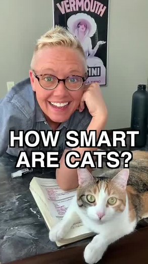 Cat Intelligence Explained: How Clever Are Cats Really?