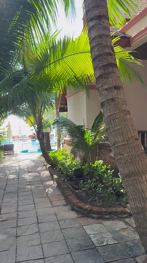 Good morning Good sunshine | Thai House Beach Resort, Koh Samui