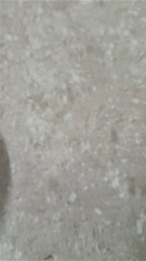 ଖରା ଯେନ୍ତା ହେଲା ନ ଜେ ନା କହୁନ ନ #shots