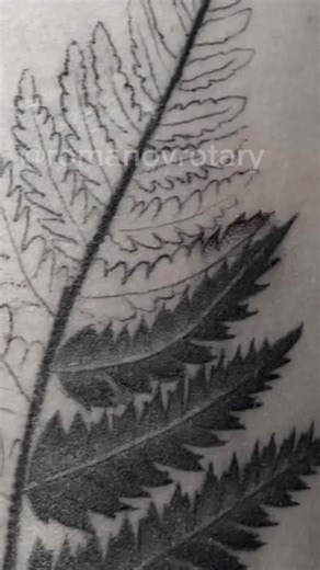 RomanovRotary · Tattoo machine · For whip shading · 5 mm stroke on Instagram: "Almost no one talks about this in tattooing. A soft but clean line isn’t for outlining. It creates tone, air, and living form. Sometimes I have to restore a tattoo done by others, and sometimes I have to fix something that didn’t work out. To achieve a softer effect, I use this method to create a line. This allows me to create a uniform leaf mass with tone. If you make a precise, clear line, it will be the darkest par
