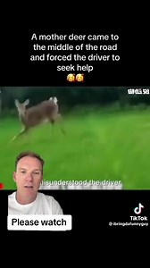 24M views · 871K reactions | Animals are amazing ❤️ when I was sent...