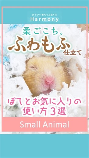 【🐹社員ハムスター推奨⁉柔ごこちふわもふ仕立ての使い方☁】ぽてとくんお気に入りの新商品☁いろんな使い方をしてくれていたのでご紹介！楽しそうにもぐったり詰め込んだりする姿は、見ていてとっても癒されます💕