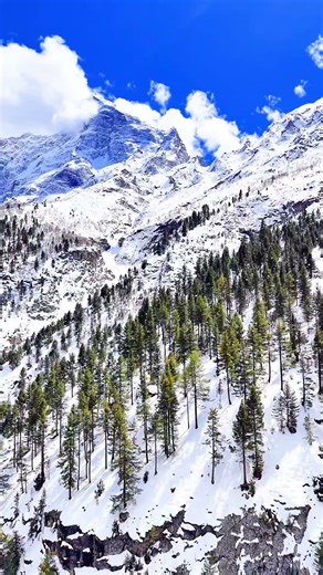 Basho Valley (Sultanabad Medow) #mountains #everyone #highlights #travel #pakistan #foryou