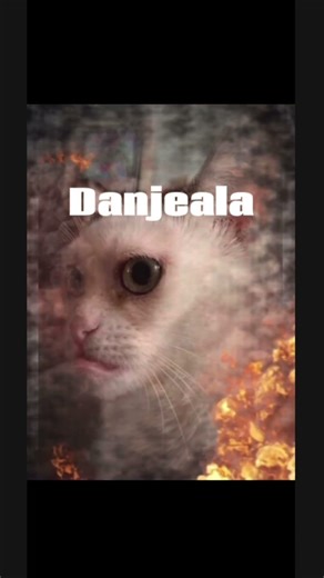 Spelling Katseye members names with my eyes closed🫣#edit#katseye#meme