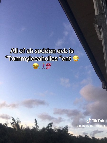 Tommyleeaholics: Laughter from the Caribbean TikTok Community