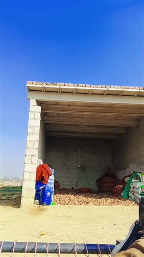 Funny Airplane Moments That Will Make You Laugh