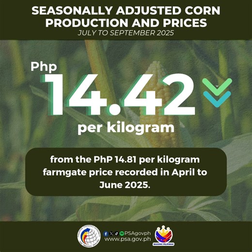 17K views · 21 reactions | Seasonally Adjusted Corn Production and Prices, July to September 2025 Bumaba sa PhP 14.42 kada kilo ang presyo ng mais nitong Hulyo hanggang Setyembre 2025, mula sa PhP 14.81 noong Abril hanggang Hunyo. Basahin ang detalye: https://psa.gov.ph/node/1684081086 Tingnan ang kabuuan: https://psa.gov.ph/statistics/crops/corn-production-and-farmgate-price | Philippine Statistics Authority | Facebook