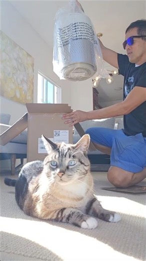 New air purifier from petsnowy