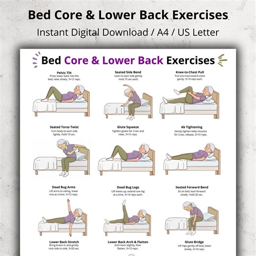 Bed Core & Lower Back Exercises for Seniors, Bed Exercise Poster for Elderly, Gentle Core Routine Poster Printable, Low Impact Bed Workout - Etsy