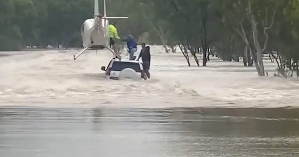 Watch: Pilot lands helicopter on flooded vehicle, saving men and dog