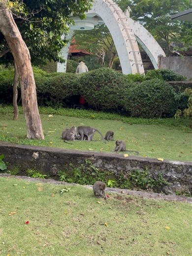 Robb Guinto on Reels