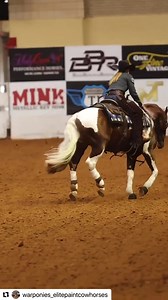 90K views · 3.9K reactions | There’s no denying, we can’t get enough of this duo: 퐕퐢퐧퐜퐞퐧퐭 퐑퐞퐲 퐕퐚퐧 퐆퐨퐠퐡 | @deacon_equine   @warponies_elitepaintcowhorses #markedforgreatness | #apha | #nrcha | #cowhorse | #painthorse | #nrchacelebrationofchampions | Official American Paint Horse Association | Facebook