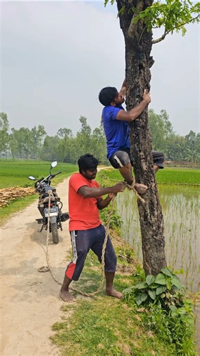 Tree climbing time 01
