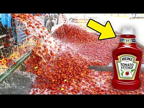 Como é Feito o Ketchup? Veja Como Essas Coisas São Fabricadas (Parte 3)
