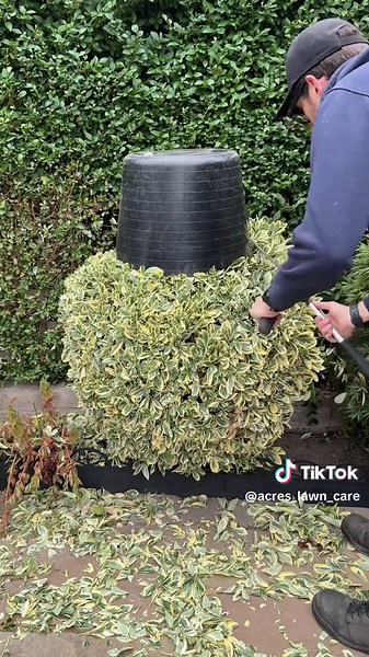 Magical Bucket Trim Techniques for Satisfying Results