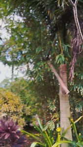 41 reactions | Our FYNE girls always come through ✨ Think you’ve got what it takes to be part of our upcoming collection? 1. Like this post 2. Comment your favorite swimsuit color 3. Join the FYNE-GIRLS channel on the profile. | BFyne | Facebook