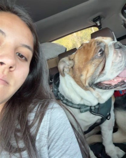 Alison González on Reels