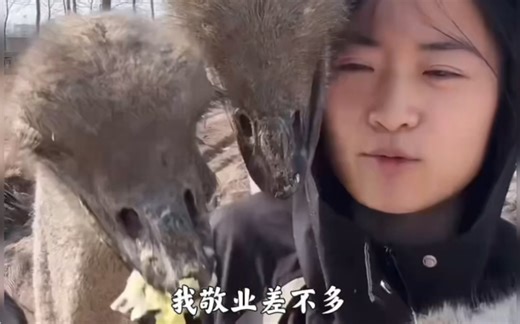 鸵飞飞：喂白菜的声音有点吵，喂点别的是吗？不好意思，呵呵……各位新年快乐呦！