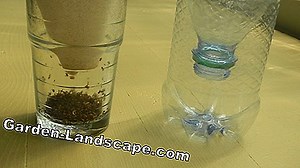 Other: Home remedies: Fly catcher make yourself | 2025