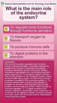 What is the main role of the endocrine system1