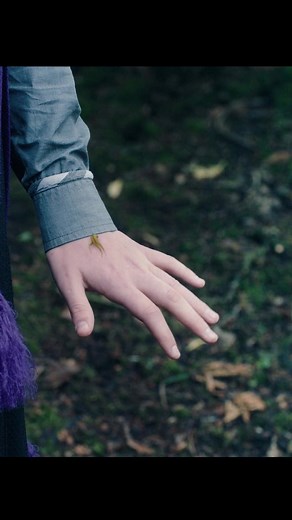 Chelsearity on TikTok