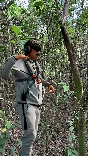 Platano Maduro no vuelve a Verde 🤣