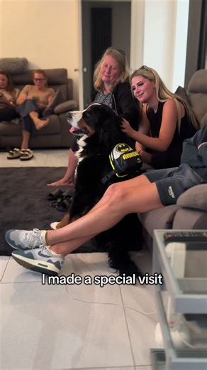 Just out here making grown men cry… in fluent dog. #GroomsdogGoals #KovuTheHeartbreaker #DoggyProposal #therapy #therapydog #groomsmanproposal #bmd #dogsoftiktok #fyp